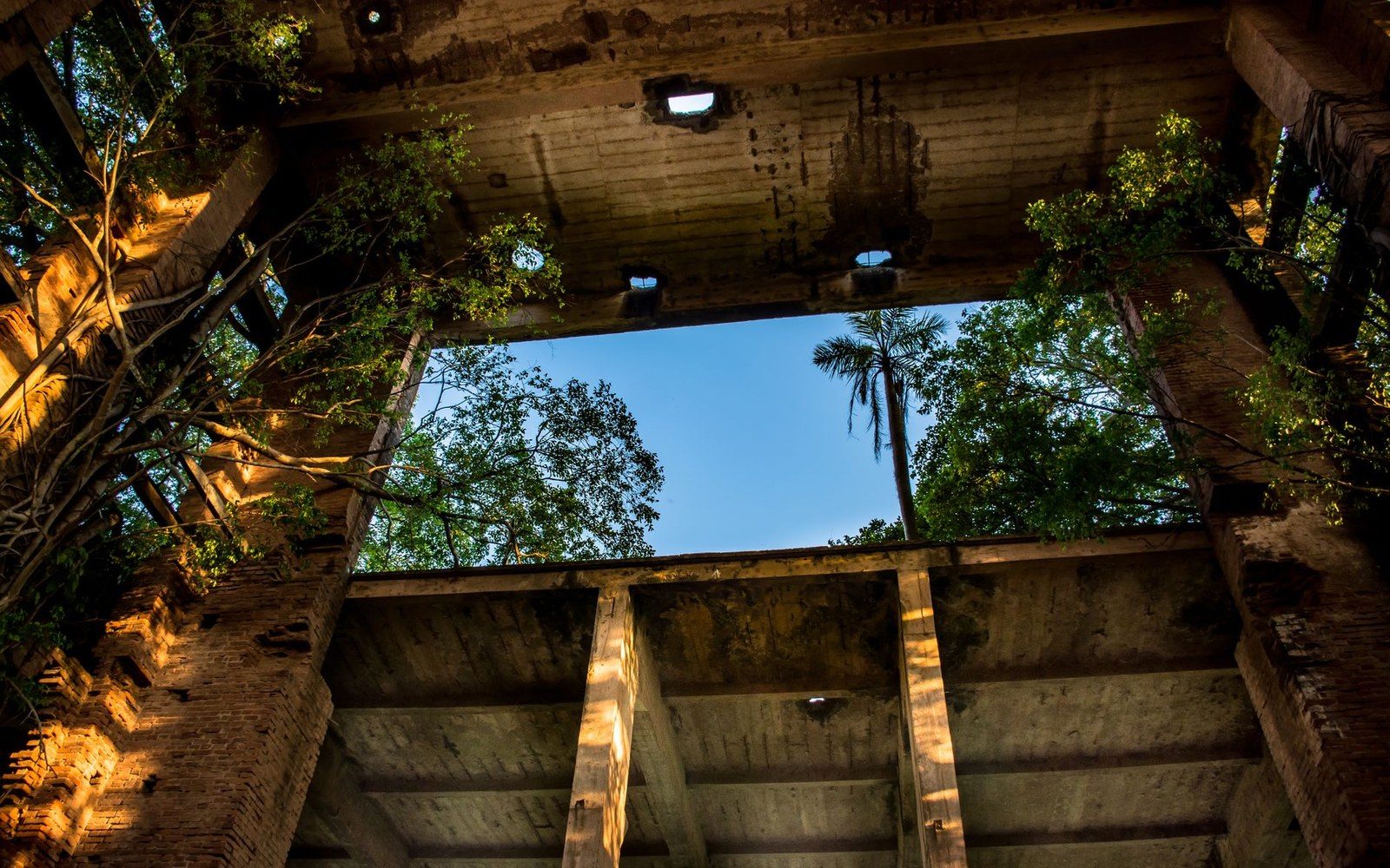 Concrete ceiling of a decaying roofless structure opens to sky and surrounding treetops