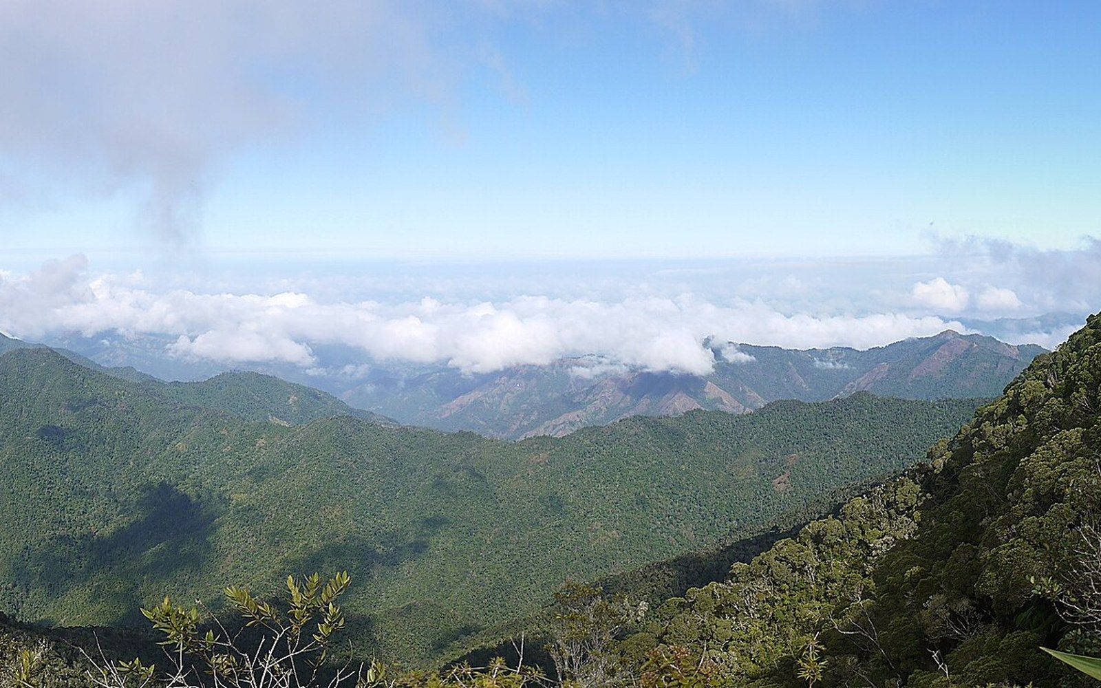 Forested mountain ridges stretch toward a cloud-filled horizon under a clear blue sky